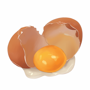A freshly cracked egg revealing egg white and yolk.