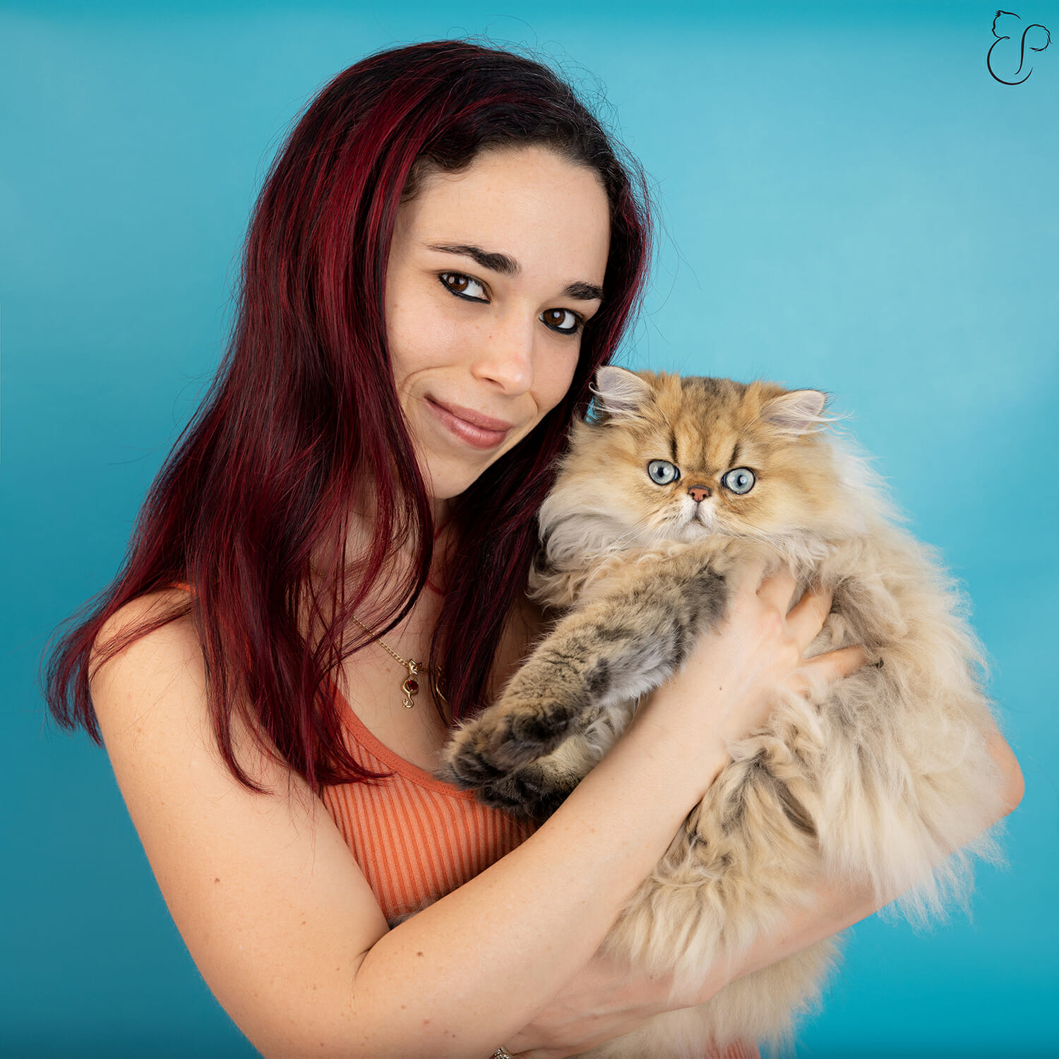 Breeder and owner of ethereal persians cattery, Roxy, holding a golden persian cat with aqua eyes in front of blue background. 