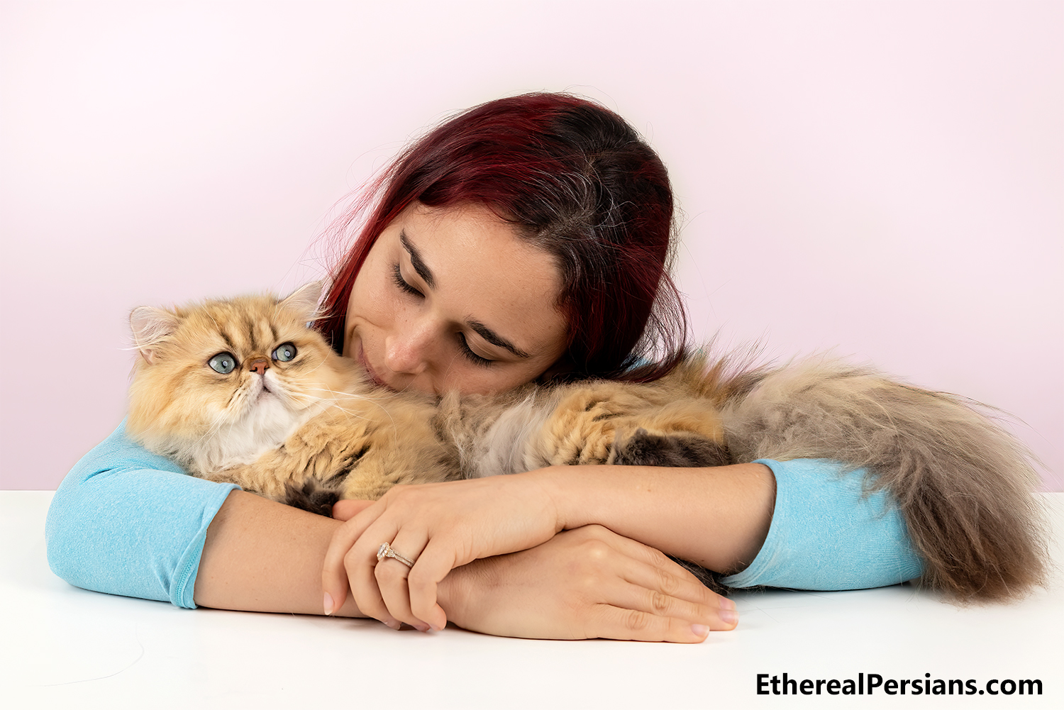 Roxy hugging Farro, a golden persian cat, on a table infront of pink backdrop.