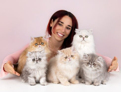 Roxy, breeder of persians hugging 5 persian cats on a table.